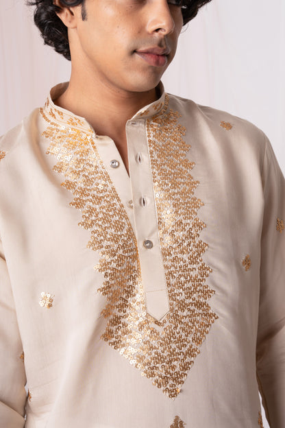 Almond Brown Embroidery Kurta with Jari Work for men (Only Kurta)