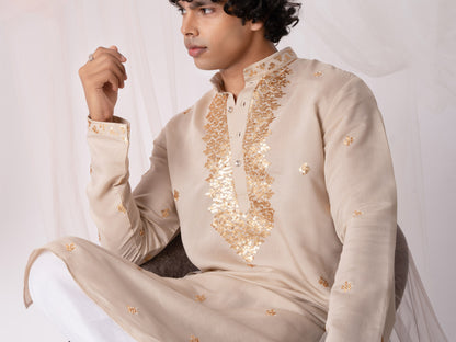 Almond Brown Embroidery Kurta with Jari Work for men (Only Kurta)