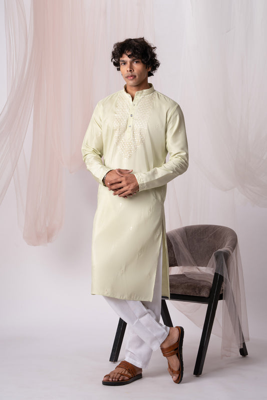 Light Green Embroidery Kurta with Jari Work for men (Only Kurta)