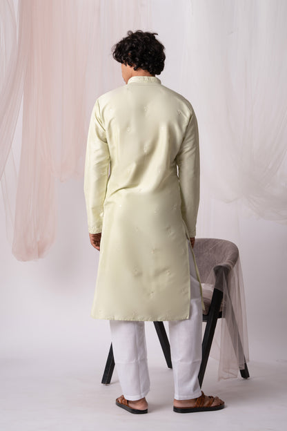 Light Green Embroidery Kurta with Jari Work for men (Only Kurta)